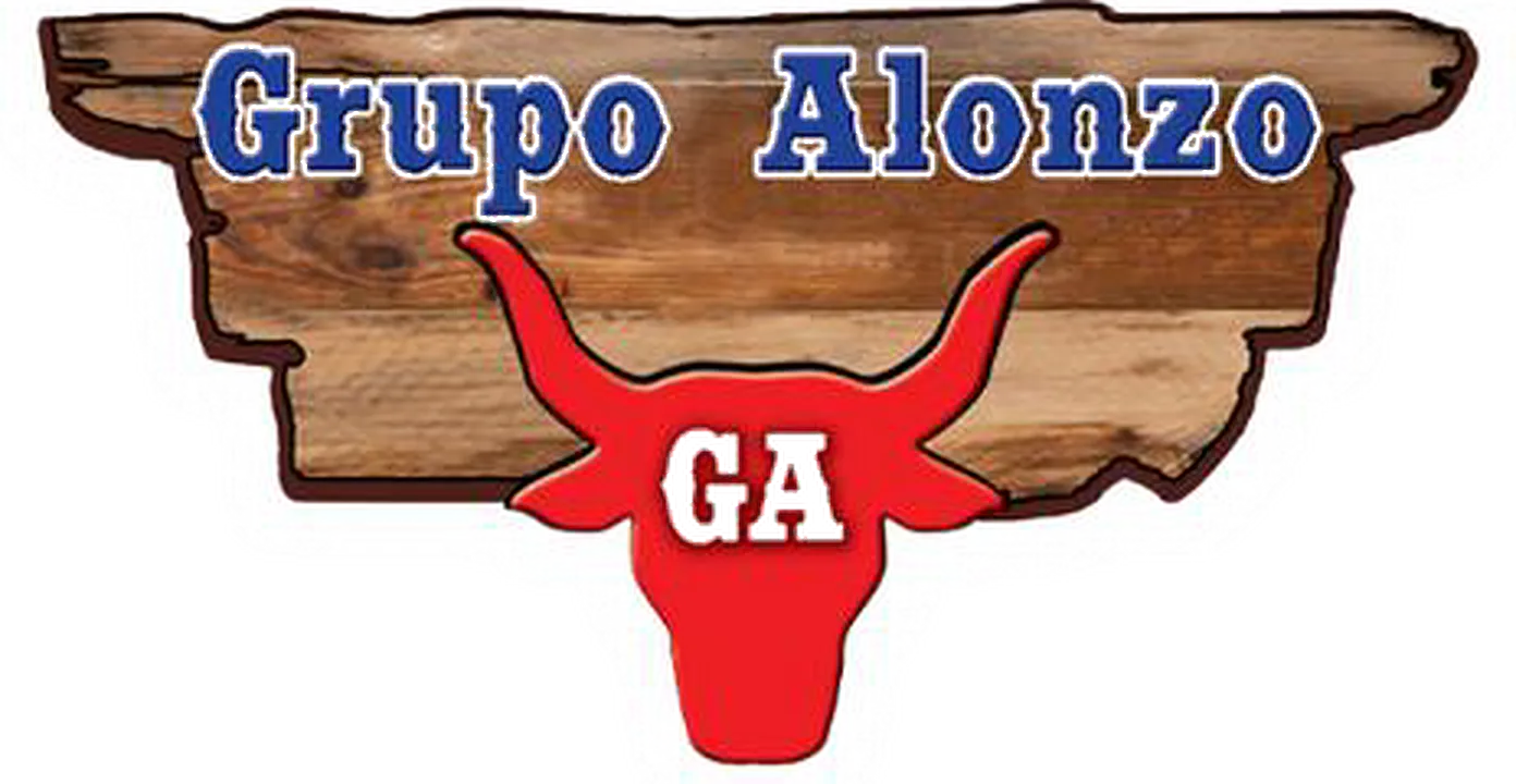 Logo de Grupo Alonzo