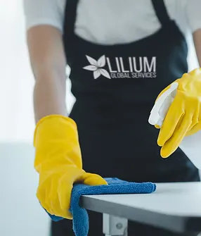 Lilium Clean